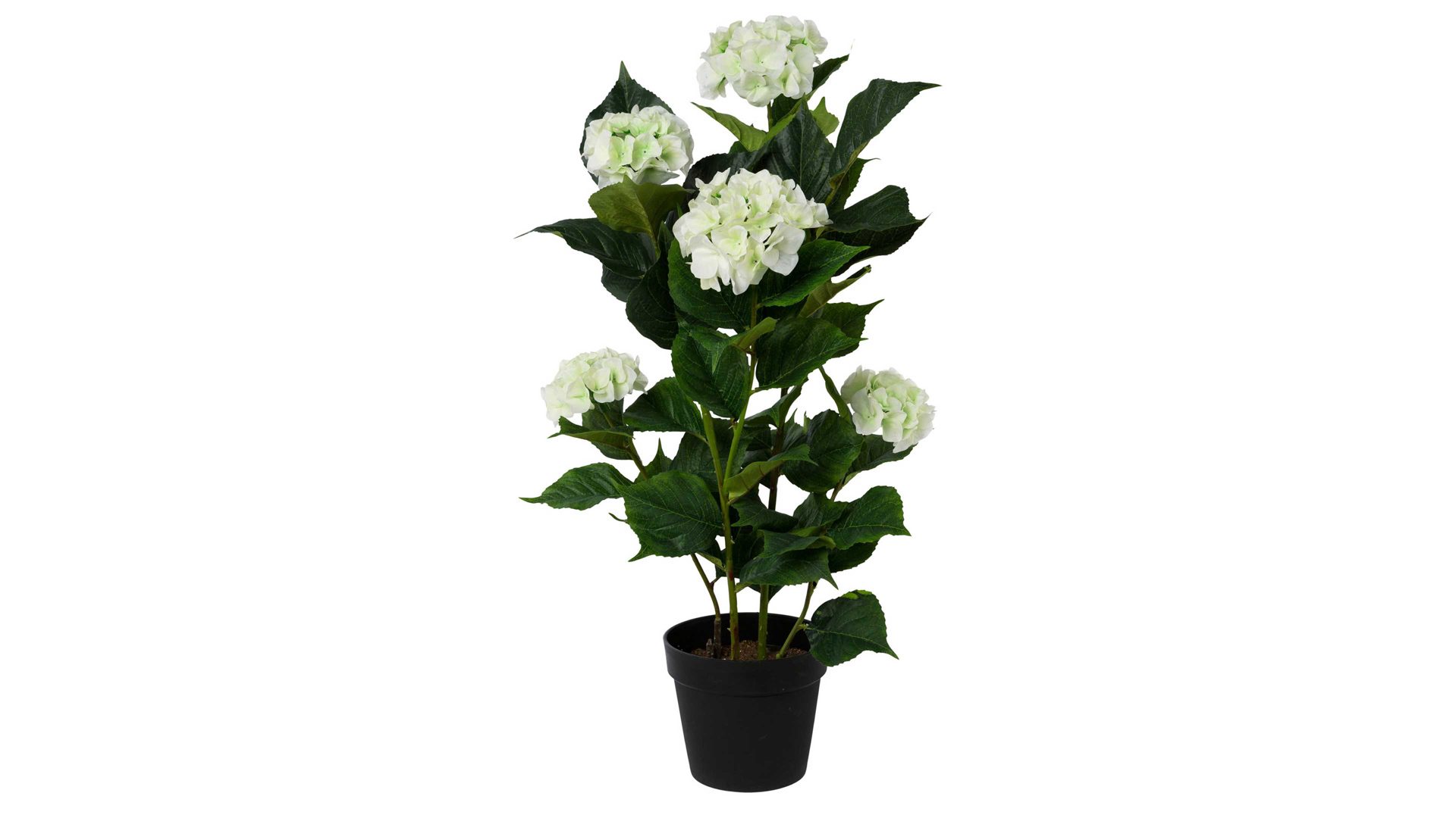 Pflanze Gasper gmbh aus Stoff in Weiß Hortensienpflanze weiße Textilblüten – Höhe ca. 92 cm
