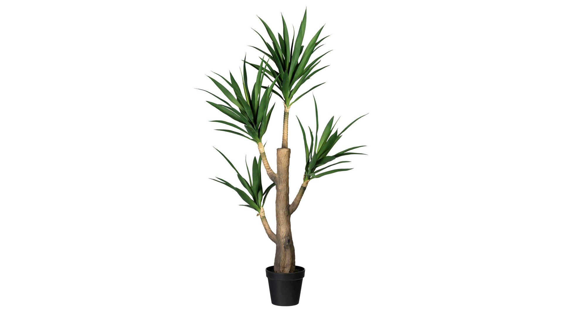 Pflanze Gasper aus Kunststoff in Grün Drachenbaum grüner Kunststoff & schwarzer Topf – Höhe ca. 160 cm