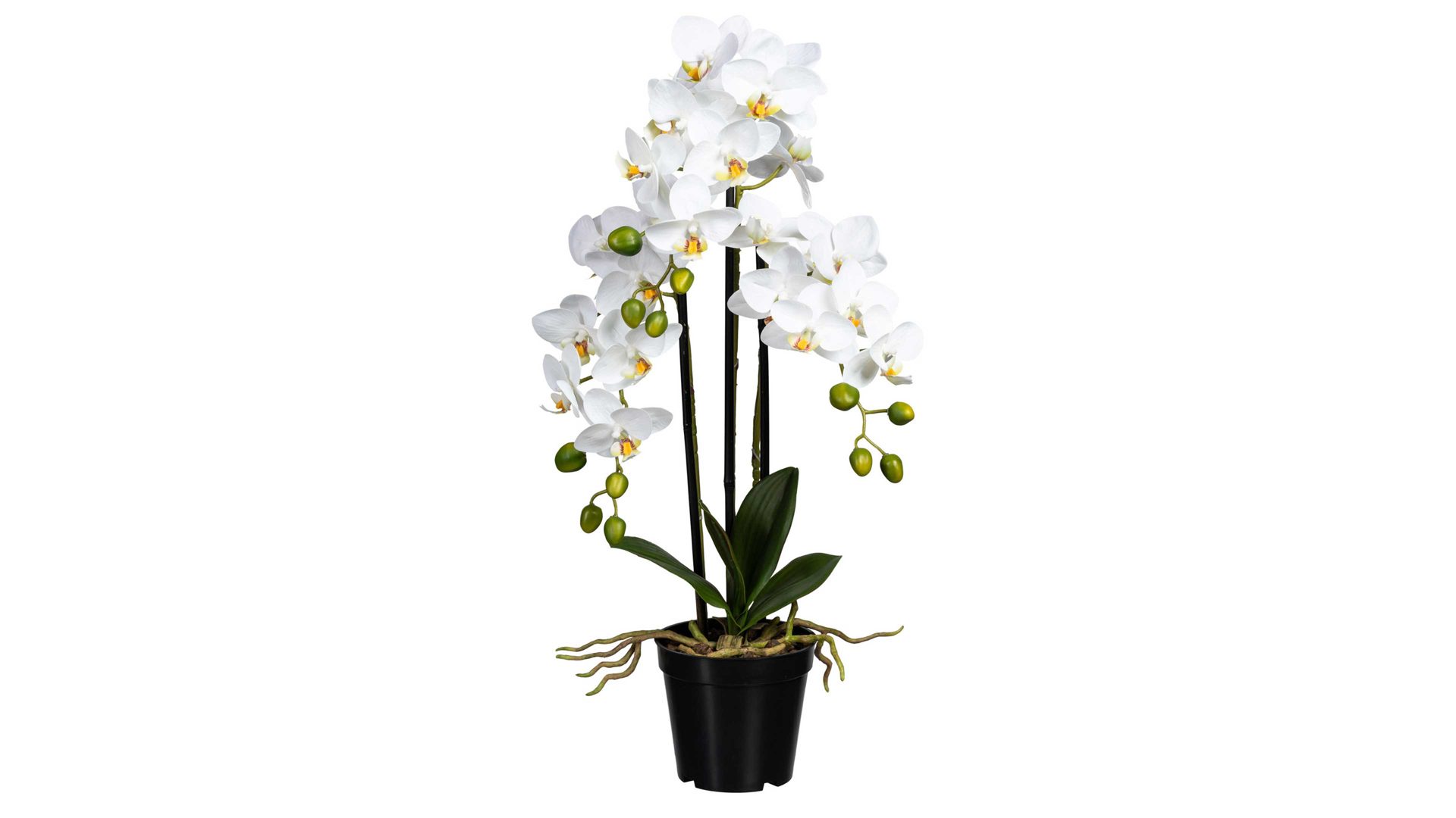 Pflanze Gasper aus Stoff in Weiß Orchidee Phalaenopsis weiße Textilblüten & schwarzer Topf – Höhe ca. 60 cm