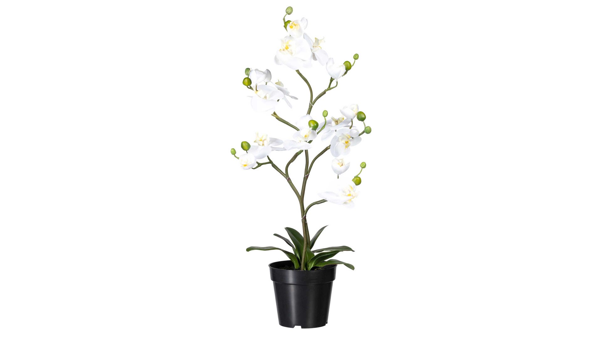 Pflanze Gasper aus Stoff in Weiß Orchidee Phalaenopsis weiße Textilblüten & schwarzer Topf – Höhe ca. 75 cm