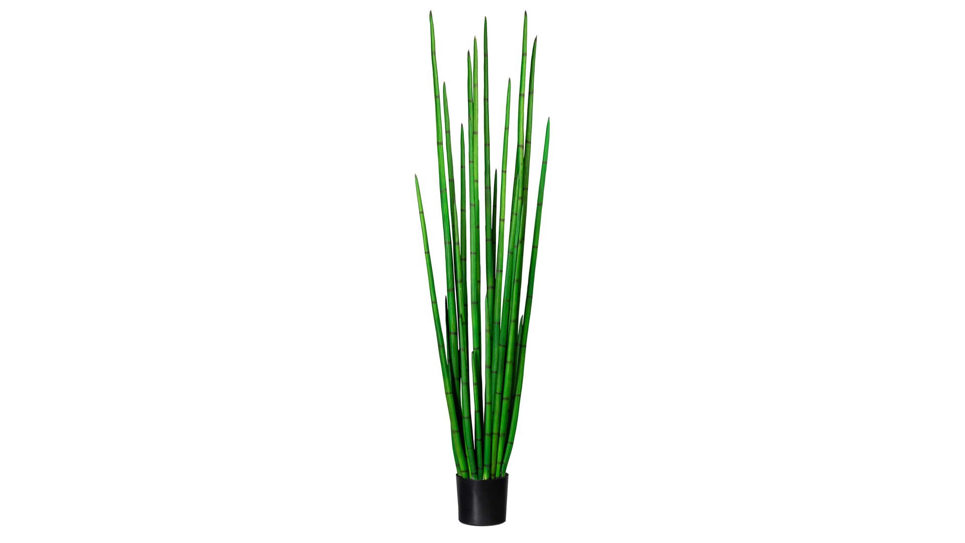 Pflanze Gasper aus Kunststoff in Grün Bogenhanf Sanseveria cylindrica grüner Kunststoff & schwarzer Topf – Höhe ca. 185 cm