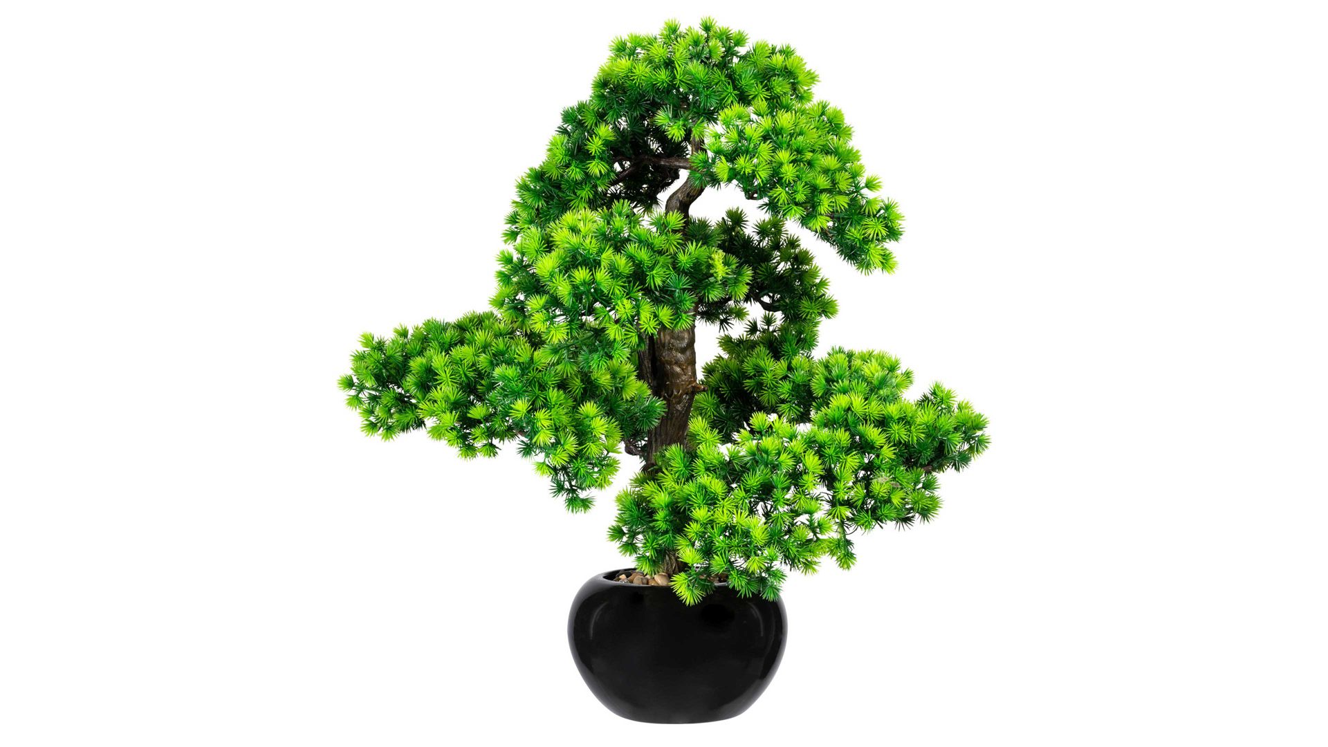 Pflanze Gasper aus Kunststoff in Grün Bonsai Lärche grüner Kunststoff & schwarzer Keramiktopf – Höhe ca. 60 cm