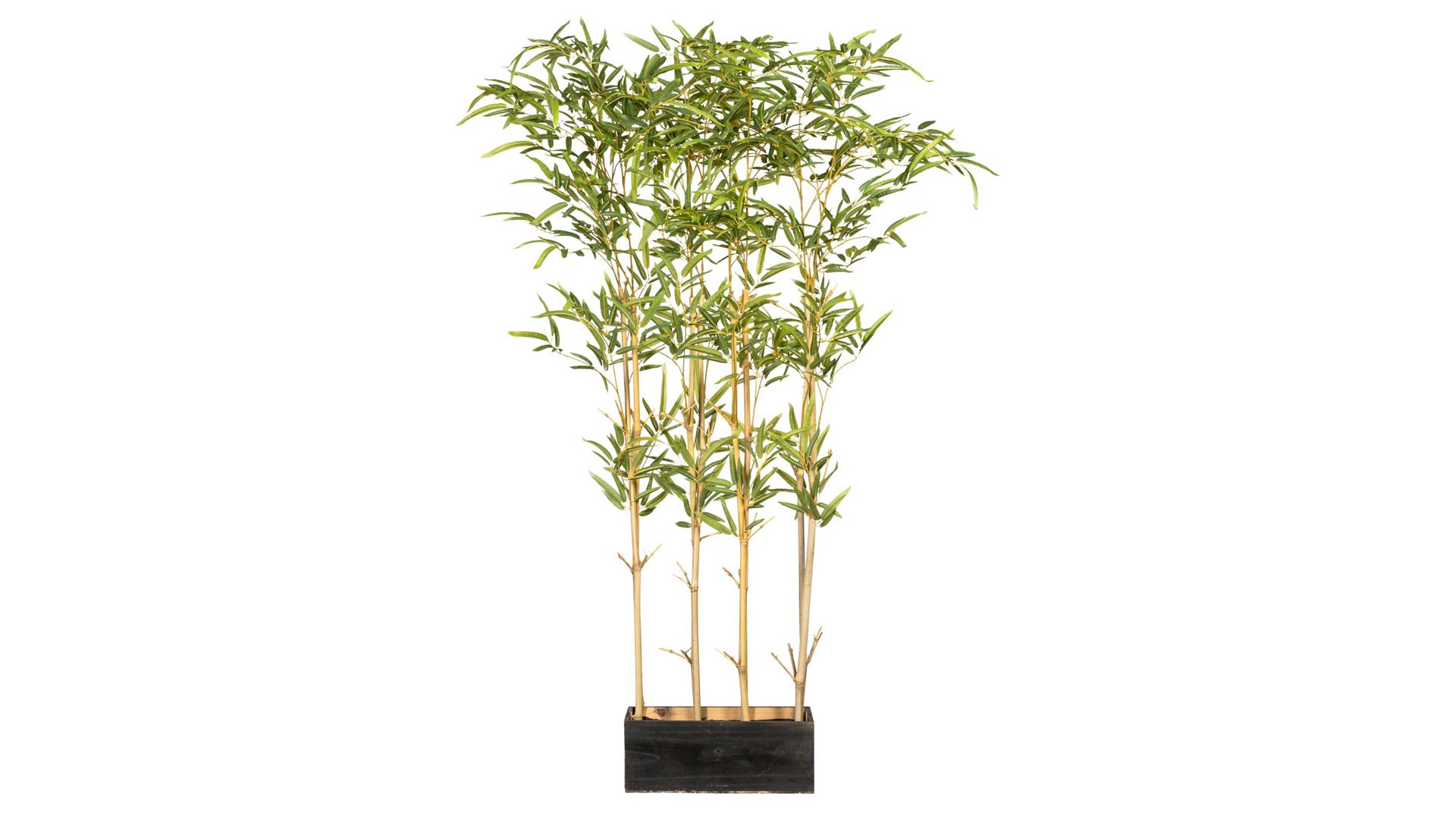 Pflanze Gasper aus Kunststoff in Grün Bambus-Raumteiler grüner Kunststoff & Holz – Höhe ca. 130 cm