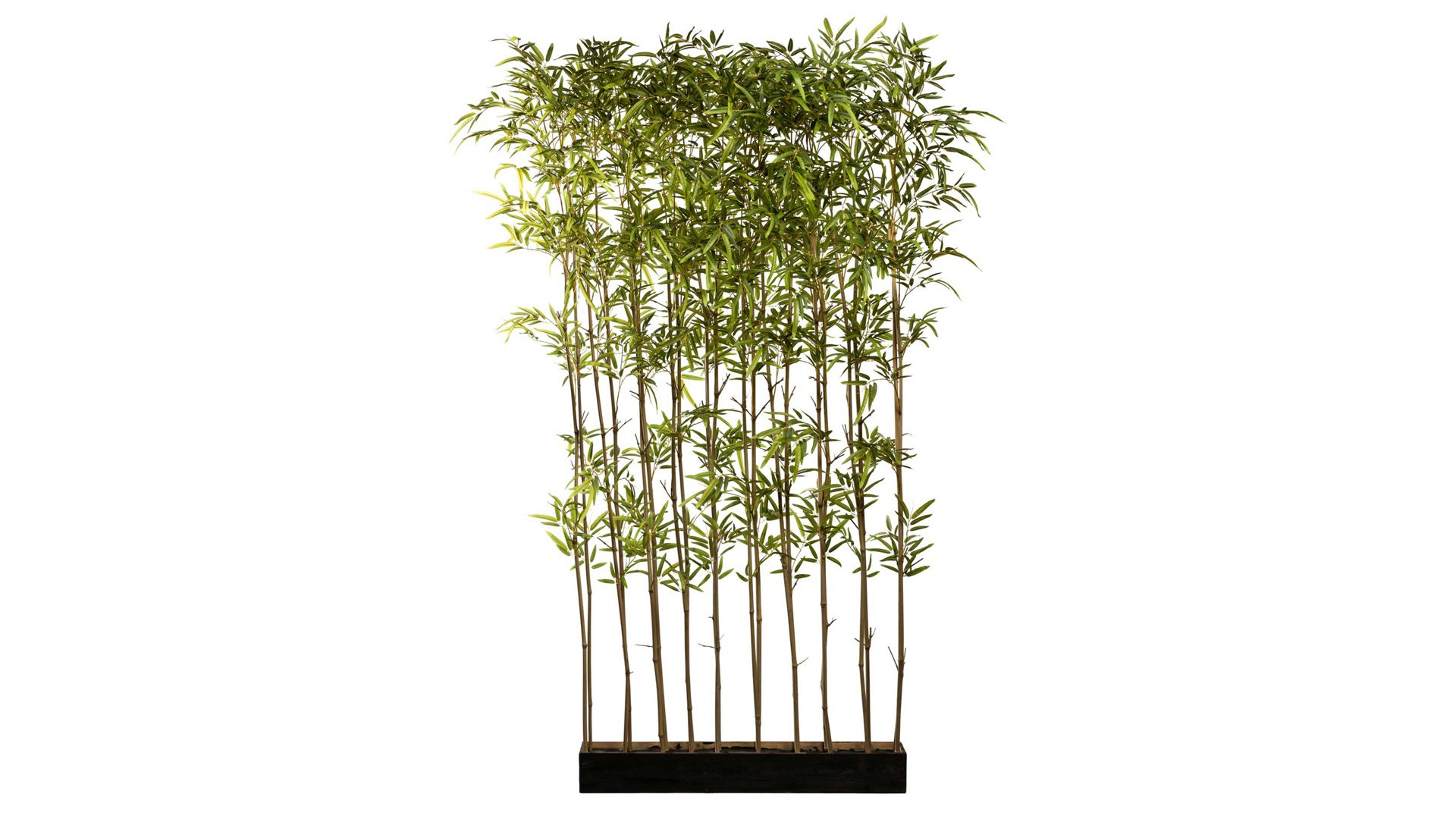 Pflanze Gasper aus Kunststoff in Grün Bambus-Raumteiler grüner Kunststoff & Holz – Höhe ca. 200 cm