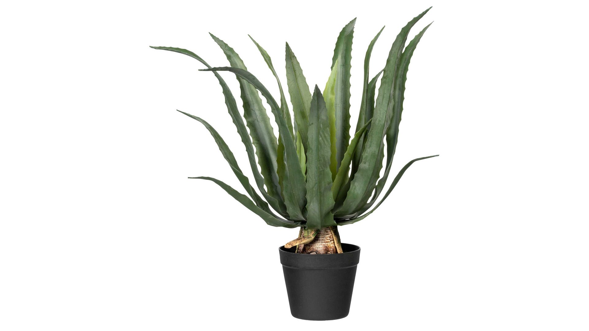 Pflanze Gasper aus Kunststoff in Grün Agave americana grüner Kunststoff & schwarzer Topf – Höhe ca. 60 cm