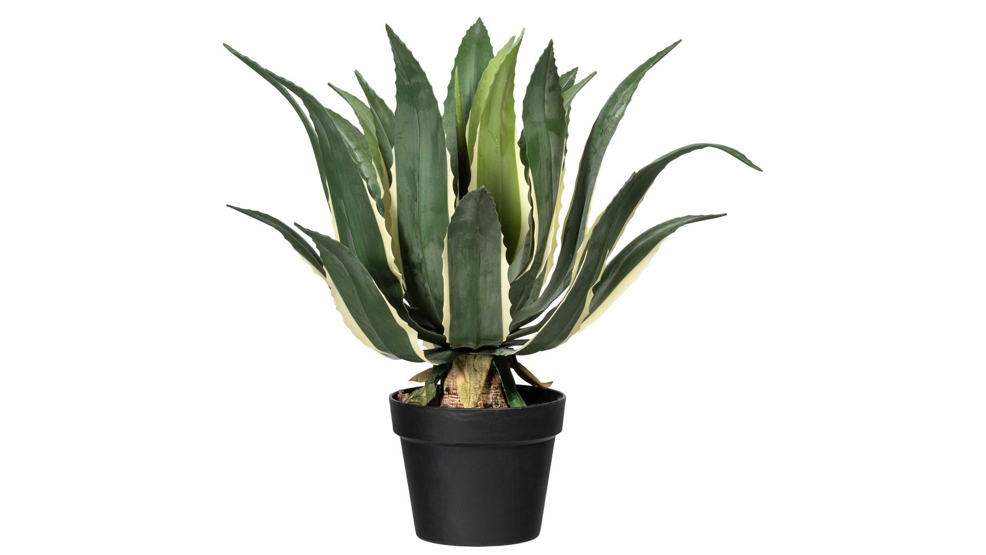 Pflanze Gasper aus Kunststoff in Grün Agave americana grün-gelber Kunststoff & schwarzer Topf – Höhe ca. 55 cm