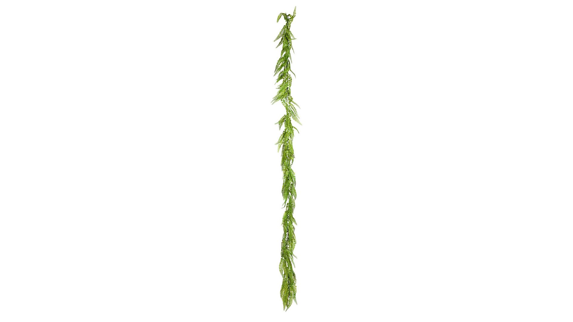 Pflanze Gasper aus Kunststoff in Grün Frauenhaarfarn Adiantum-Girlande grüner Kunststoff – Länge ca. 175 cm