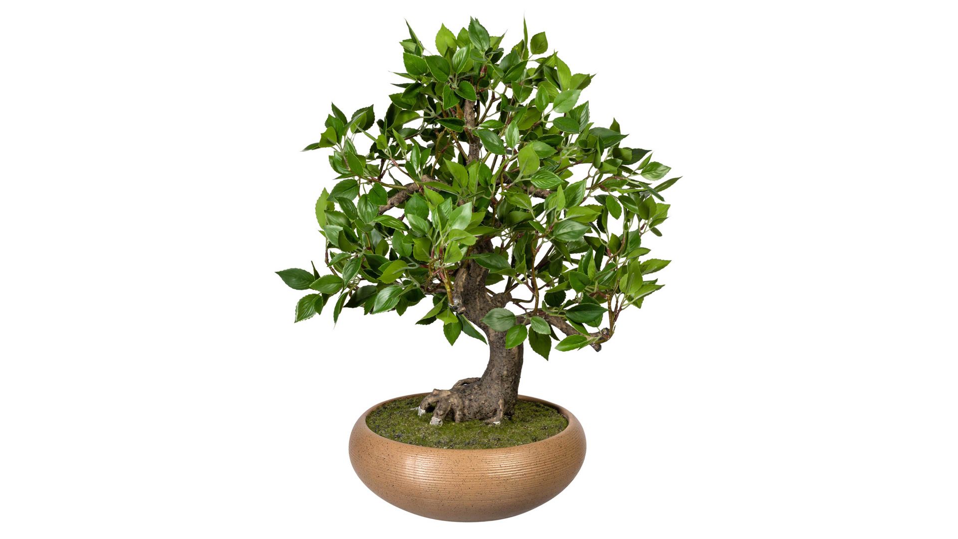 Pflanze Gasper aus Kunststoff in Grün Bonsai Ficus grüner Kunststoff & braune Keramikschale – Höhe ca. 50 cm