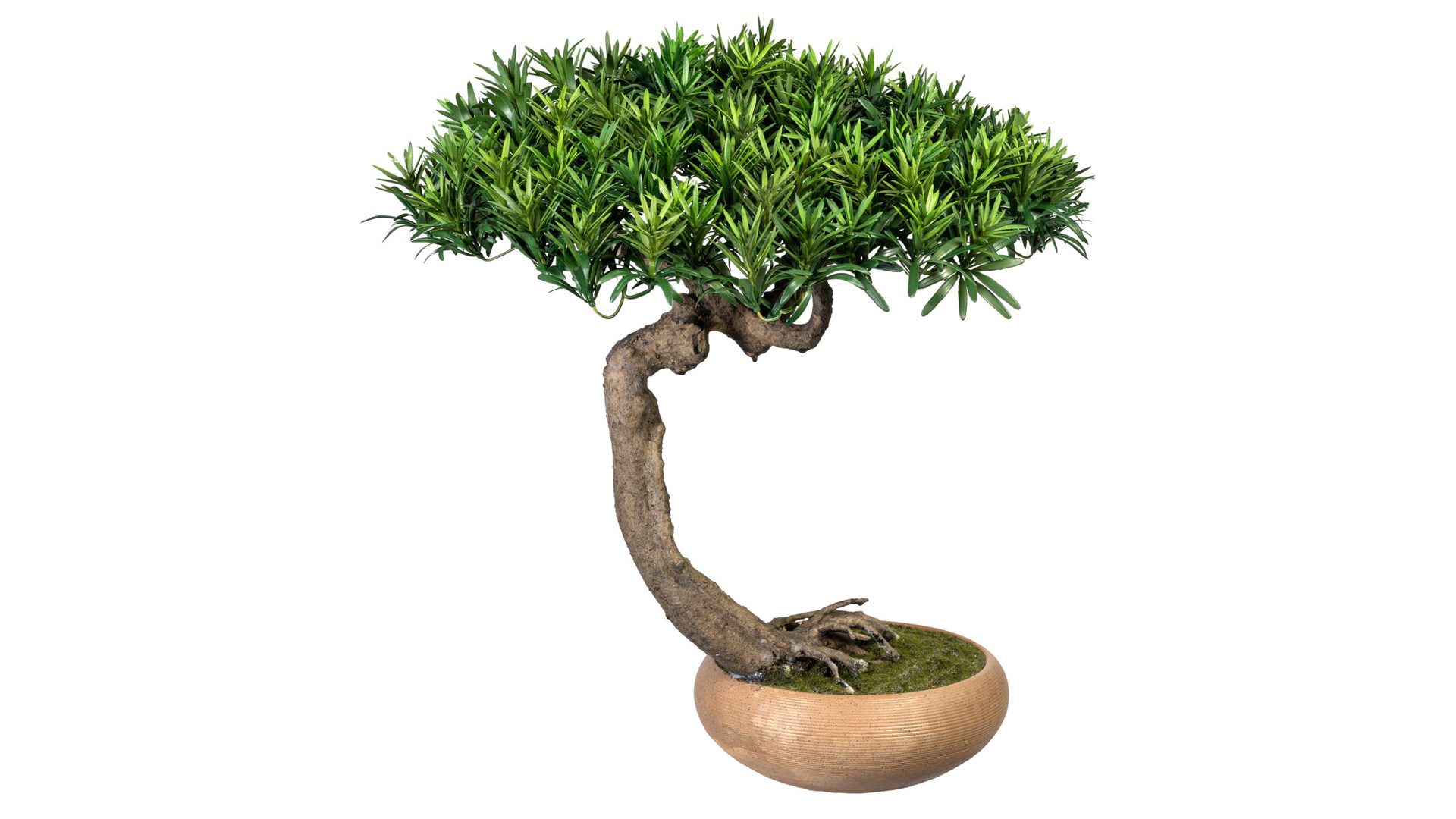 Pflanze Gasper aus Kunststoff in Grün Bonsai Podocarpus Shankan grüner Kunststoff & braune Keramikschale – Höhe ca. 60 cm