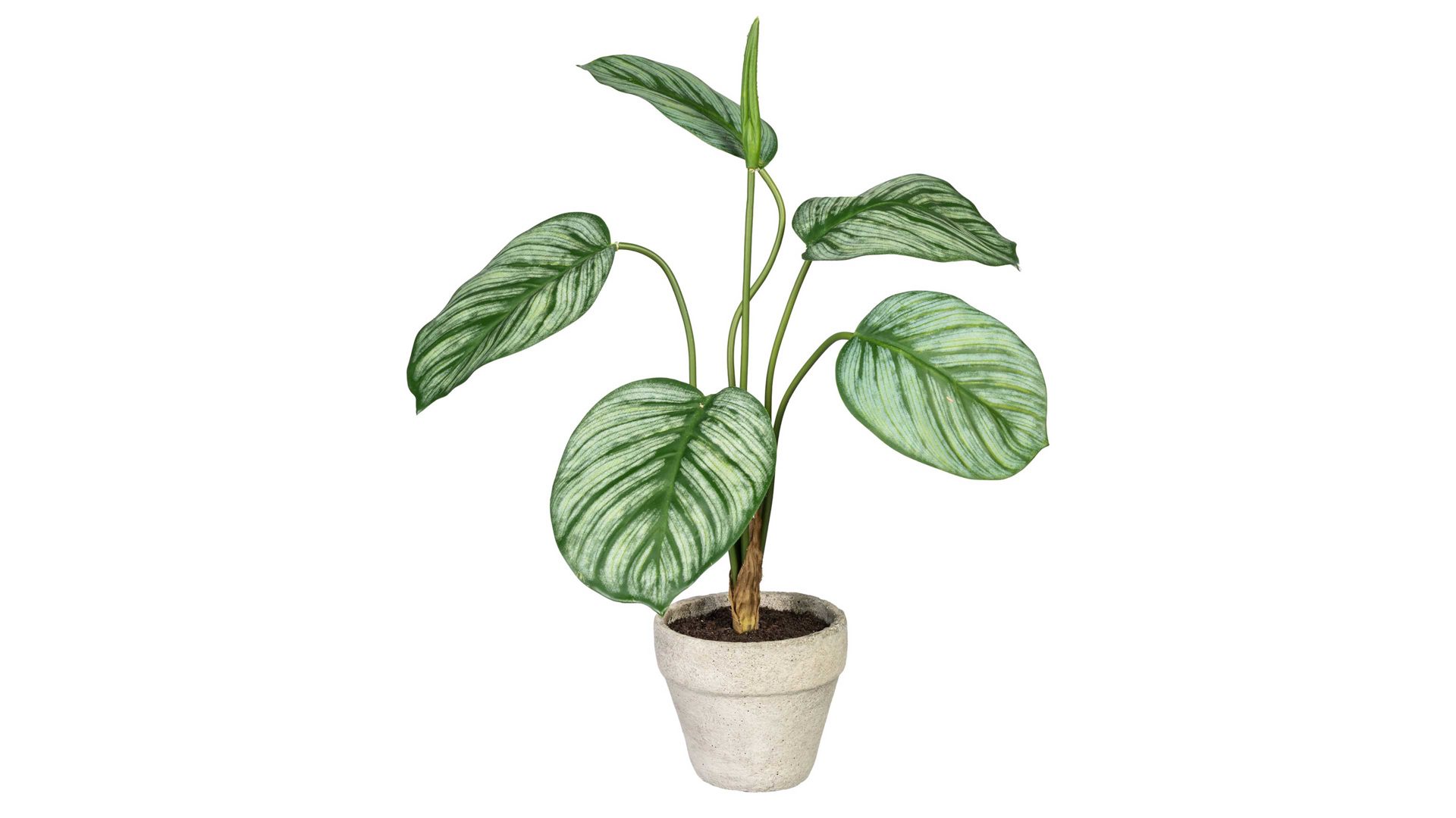 Pflanze Gasper aus Kunststoff in Grün Grünpflanzen-Mix grüner Kunststoff & Zementtopf – dreiteilig, Höhe ca. 40 cm