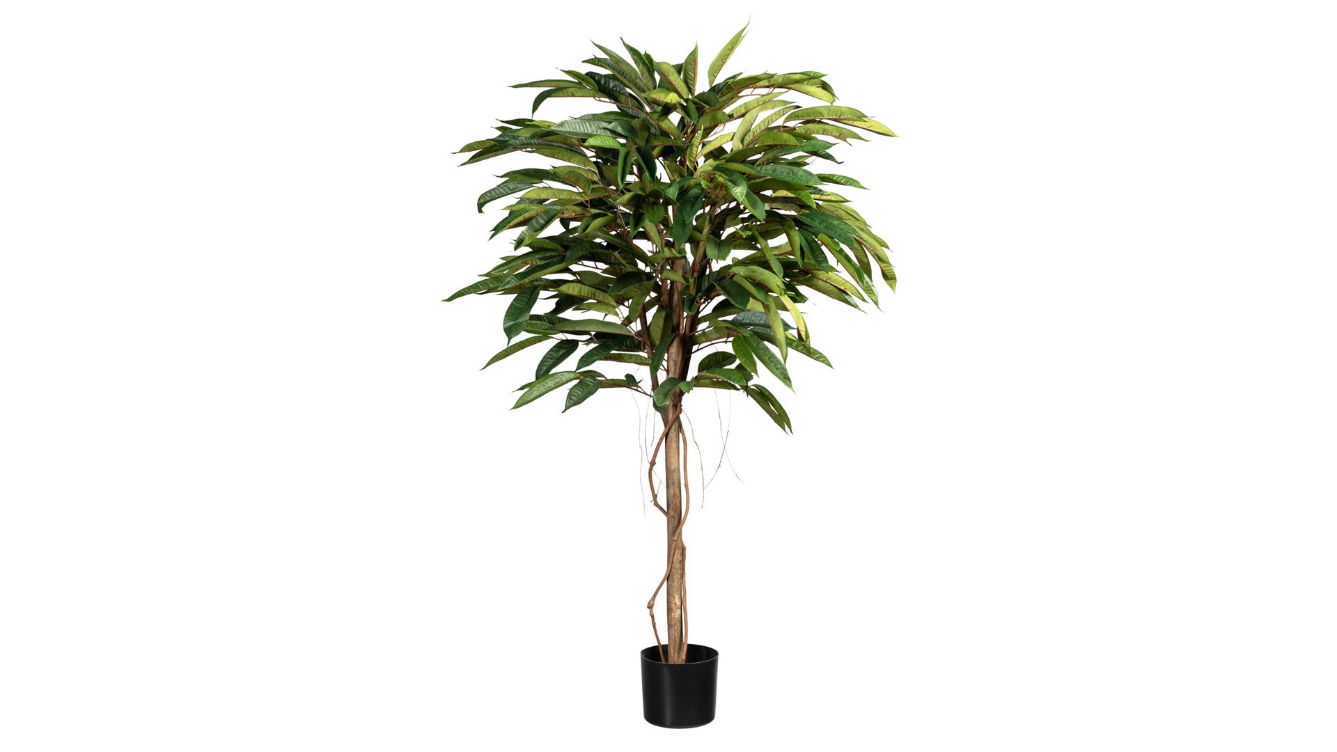 Pflanze Gasper aus Kunststoff in Grün Ficus Alii de Luxe grüner Kunststoff & schwarzer Topf – Höhe ca. 150 cm
