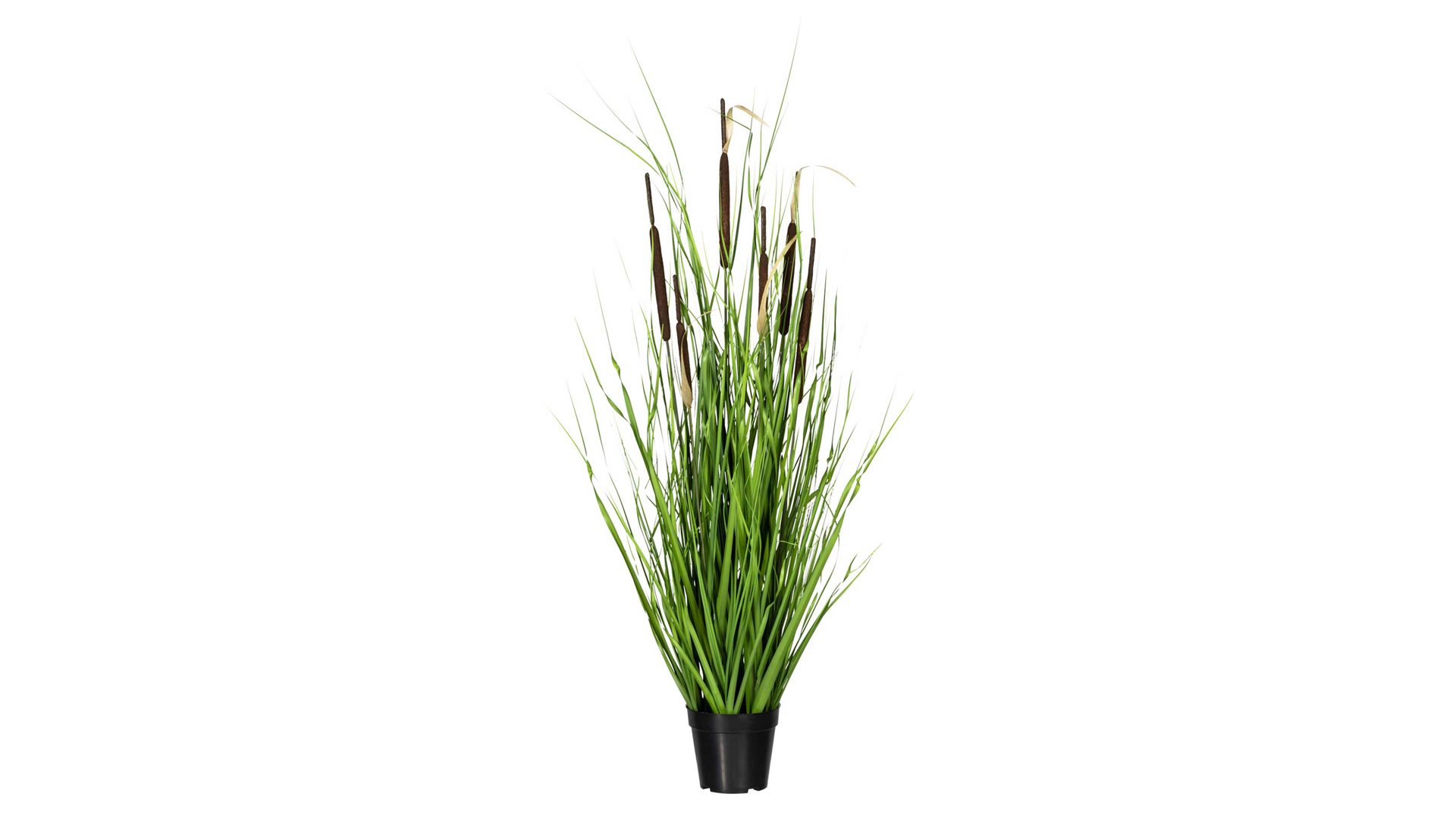 Pflanze Gasper aus Kunststoff in Grün Grasbusch mit Schilfkolben grüner Kunststoff & schwarzer Topf – Höhe ca. 120 cm
