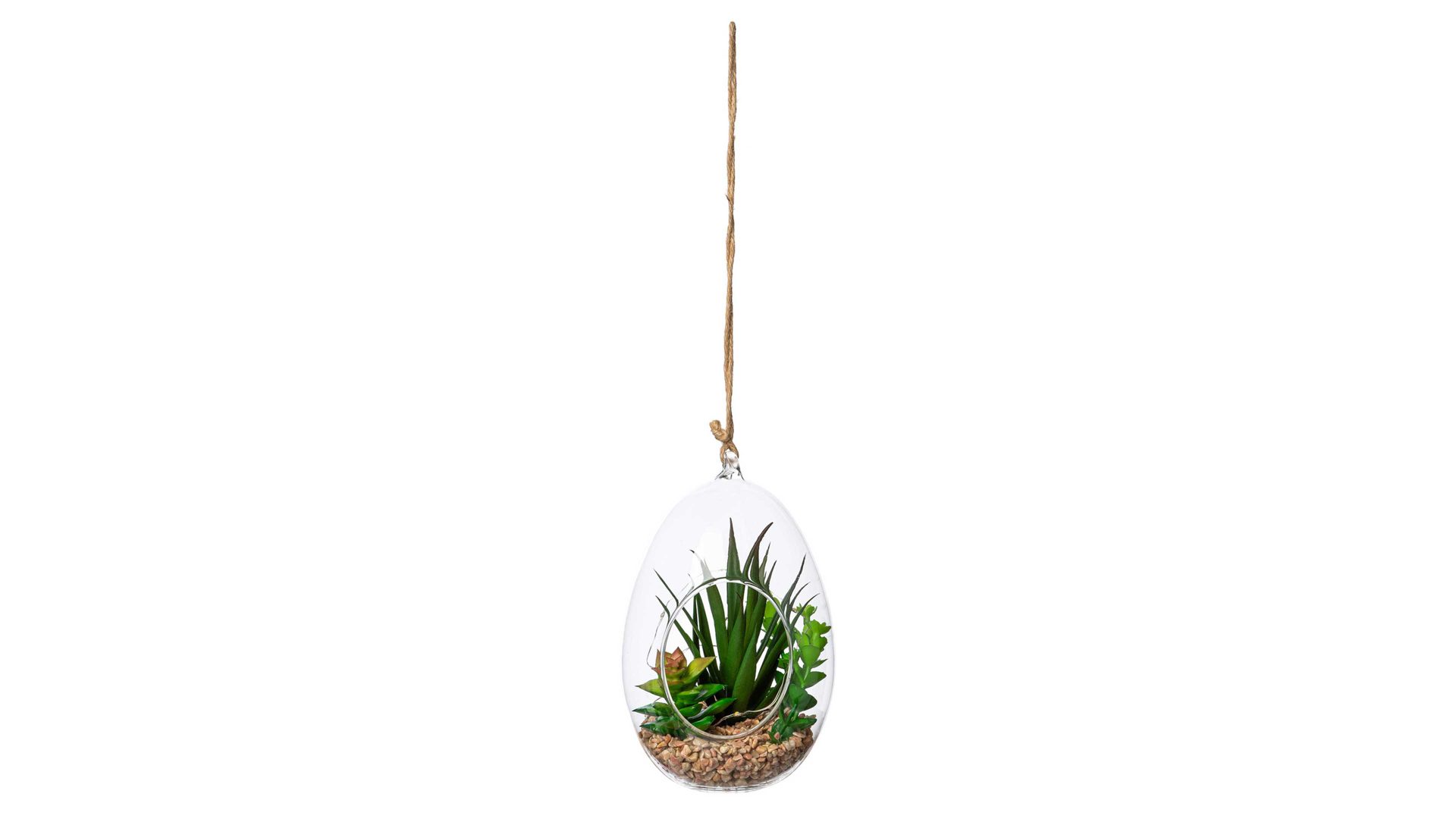 Pflanze Gasper aus Kunststoff in Grün Sukkulenten-Glaskugel grüner Kunststoff & Klarglas – Höhe ca. 18 cm