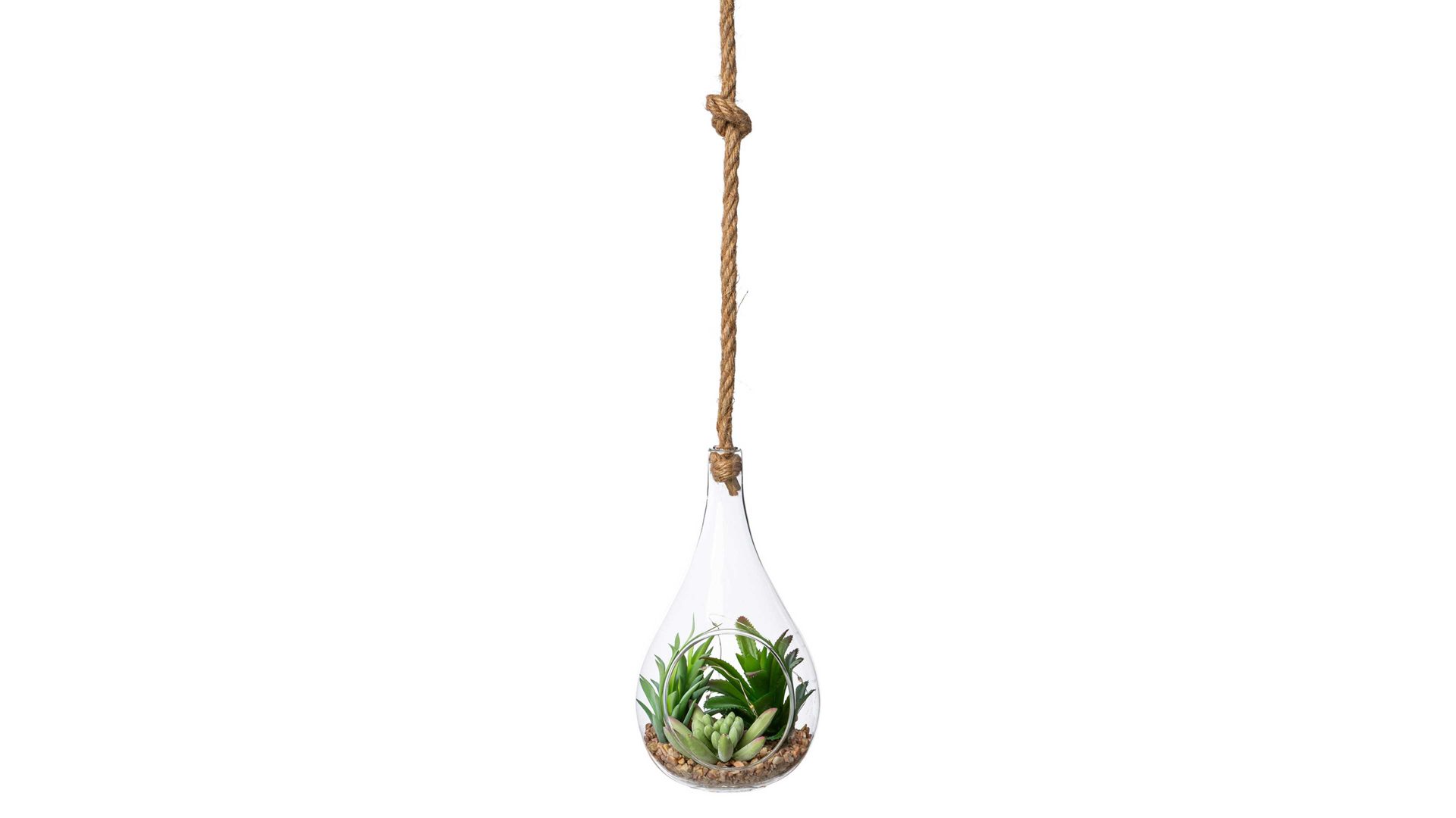 Pflanze Gasper aus Kunststoff in Grün Sukkulenten-Glaskugel grüner Kunststoff & Klarglas – Höhe ca. 22 cm