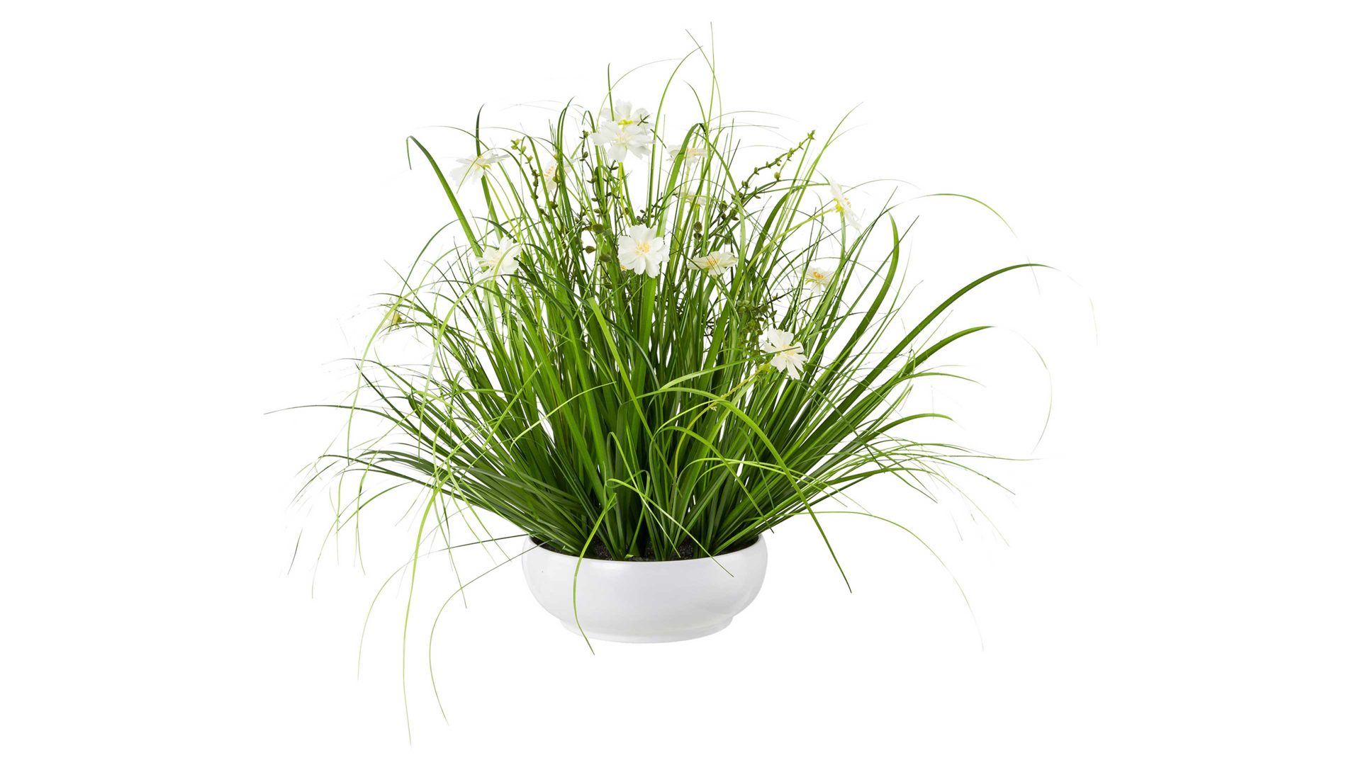 Pflanze Gasper aus Stoff in Weiß Grasbusch-Schale mit Cosmeablüten weiße Textilblüten & Gras – Durchmesser ca. 45 cm
