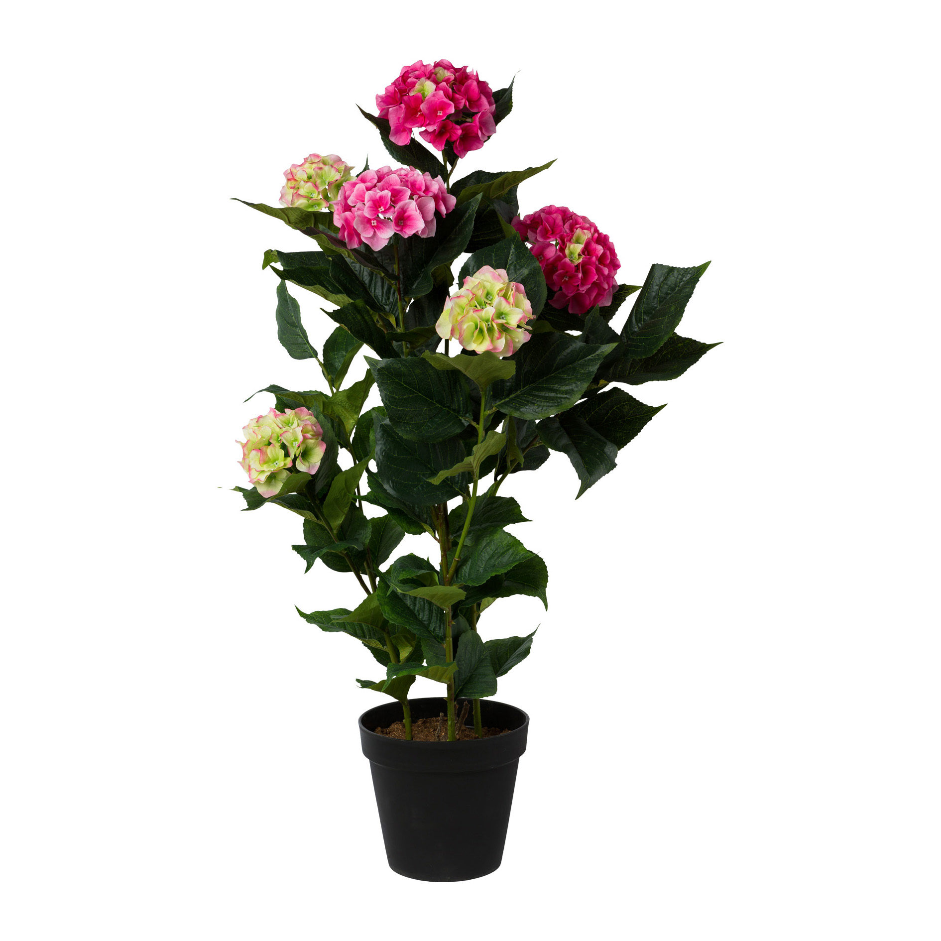 Pflanze Gasper aus Stoff in Pink Hortensienpflanze magentafarbene Textilblüten – Höhe ca. 109 cm