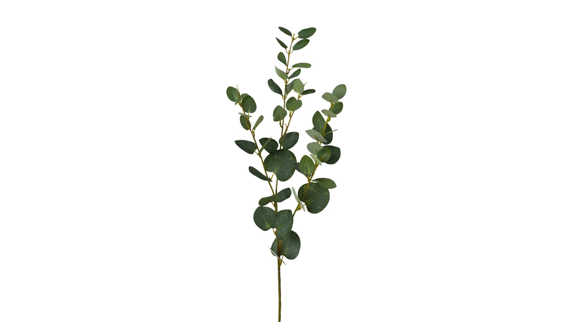 Blume Gasper aus Stoff in Grün Eukalyptuszweig Omar grüner Kunststoff – Höhe ca. 79 cm