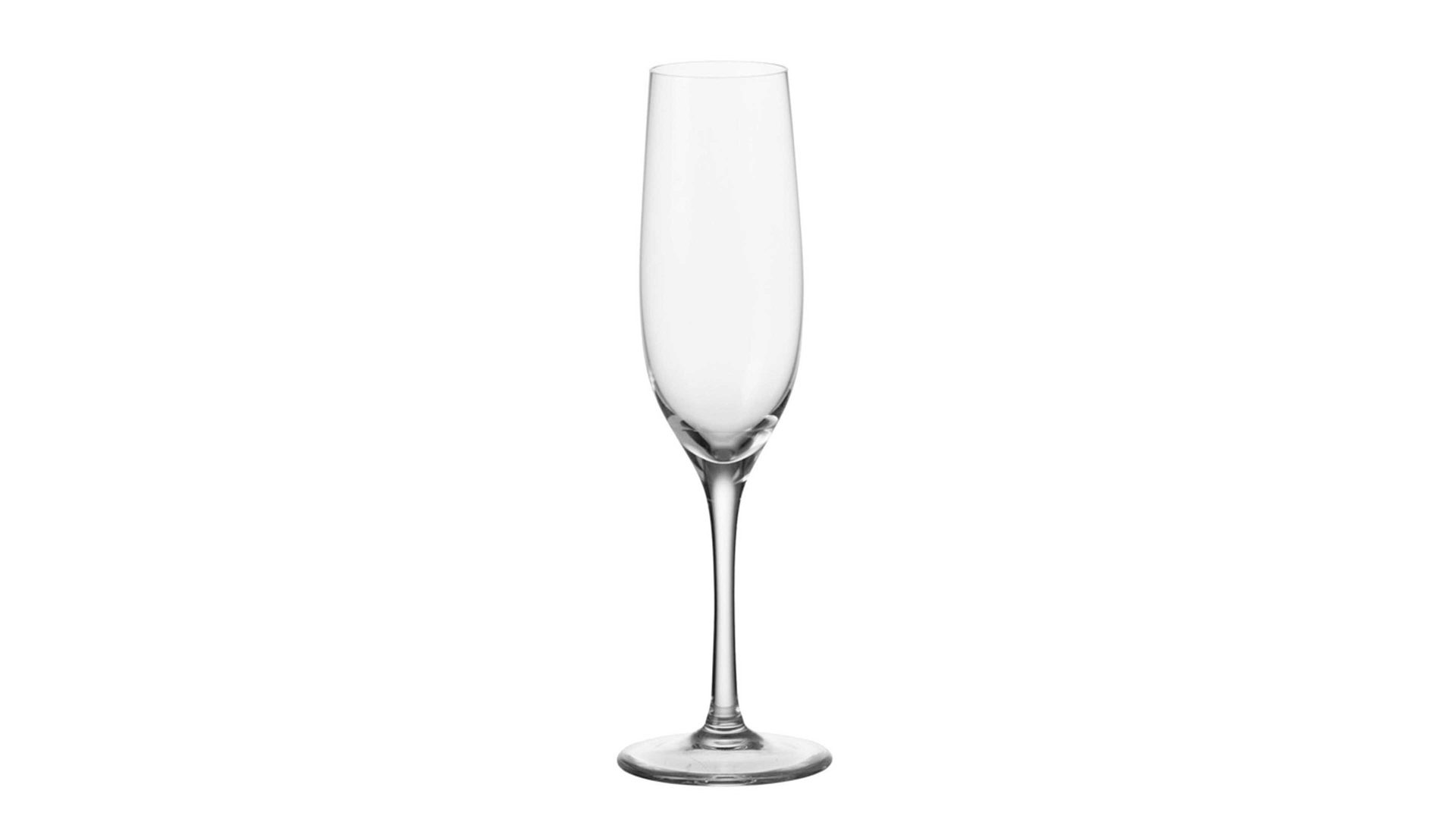 Grappaglas Leonardo | glaskoch aus Glas in Transparent LEONARDO Grappaglas Ciao+ TEQTON®-Klarglas - ca. 85 ml Fassungsvermögen