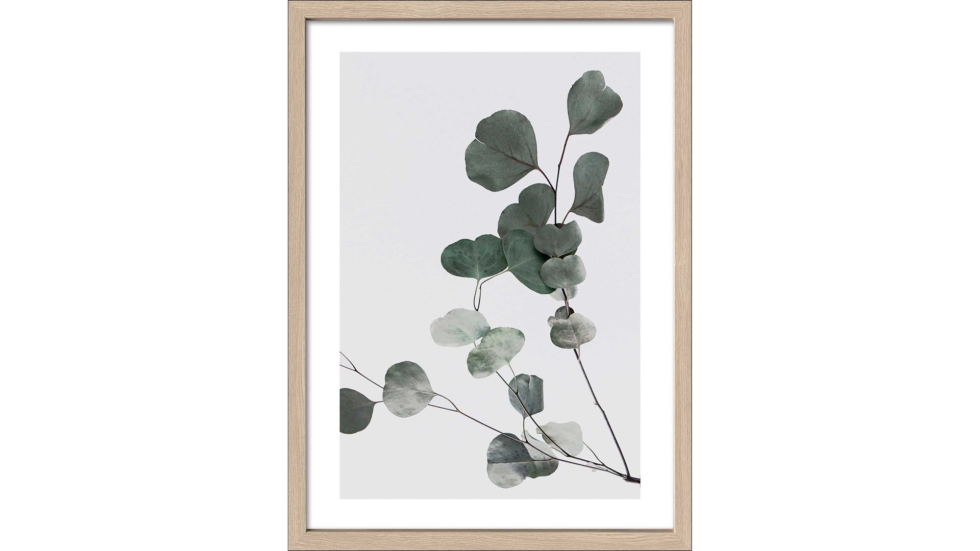 Kunstdruck Pro®art bilderpalette aus Karton / Papier / Pappe in Grün PRO®ART Kunstdruck Scandic Living Eucalyptus & Eiche - ca. 55 x 75 cm
