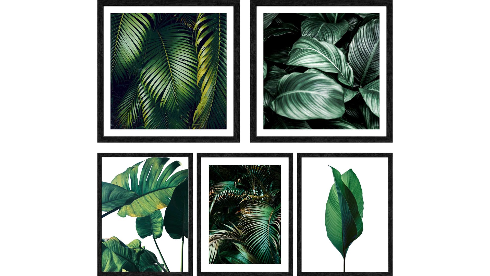 Kunstdruck Pro®art bilderpalette aus Karton / Papier / Pappe in Dunkelgrün PRO®ART Kunstdruck Jungle Leaves I fünfteilig