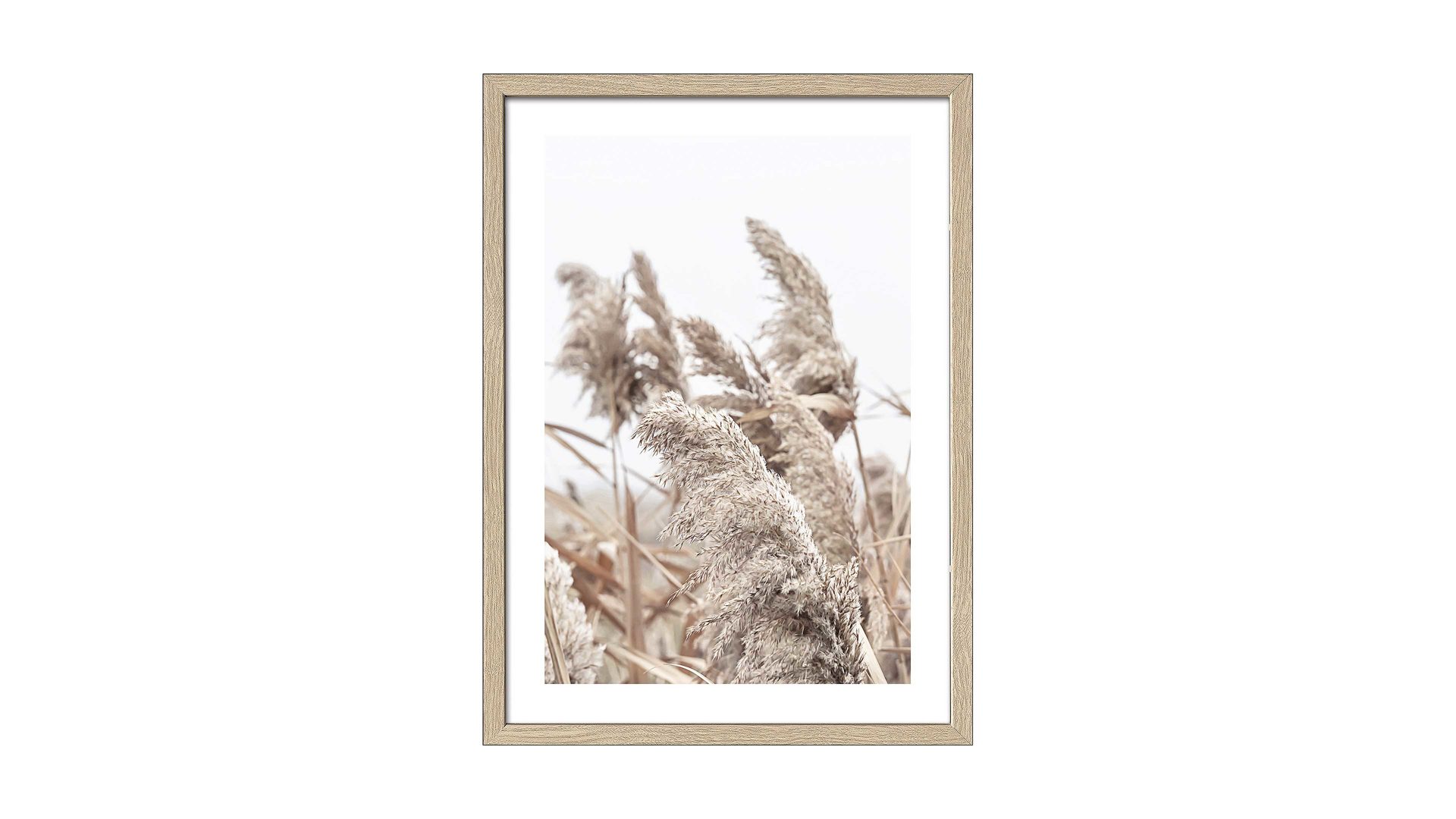 Kunstdruck Pro®art bilderpalette aus Karton / Papier / Pappe in Beige PRO®ART Kunstdruck In the Breeze II Holzrahmen - ca. 35 x 45 cm