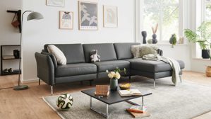 Ecksofa modulmaster aus Leder in Anthrazit Modulmaster MM-PN1200 - Ecksofa anthrazitfarbenes Leder Torro & glänzende Metallfüße – Stellfläche ca. 280 x 173 cm