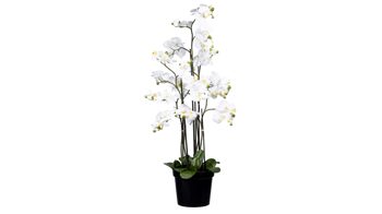 Pflanze Gasper aus Stoff in Weiß Orchidee Phalaenopsis weiße Textilblüten & schwarzer Topf – Höhe ca. 130 cm