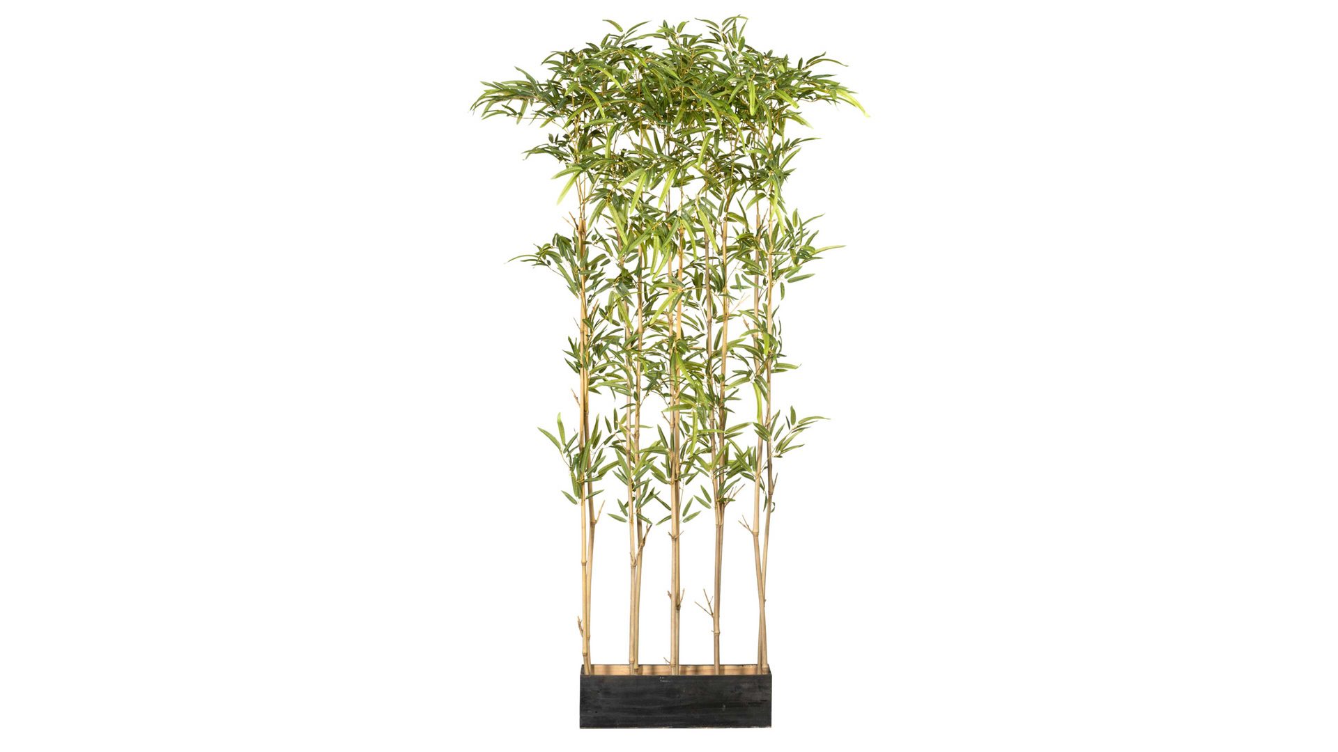 Pflanze Gasper aus Kunststoff in Grün Bambus-Raumteiler grüner Kunststoff & Holz – Höhe ca. 160 cm