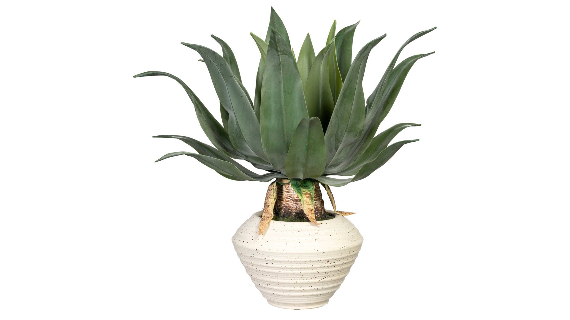 Pflanze Gasper aus Kunststoff in Grün Agave americana grüner Kunststoff & cremefarbene Keramikschale – Höhe ca. 45 cm