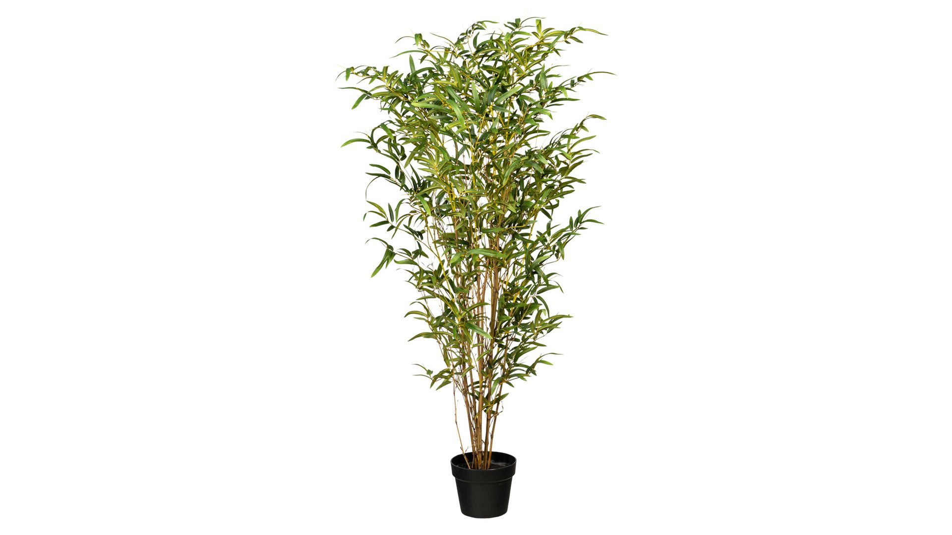 Pflanze Gasper aus Kunststoff in Grün Bambus grüner Kunststoff & schwarzer Topf – Höhe ca. 120 cm