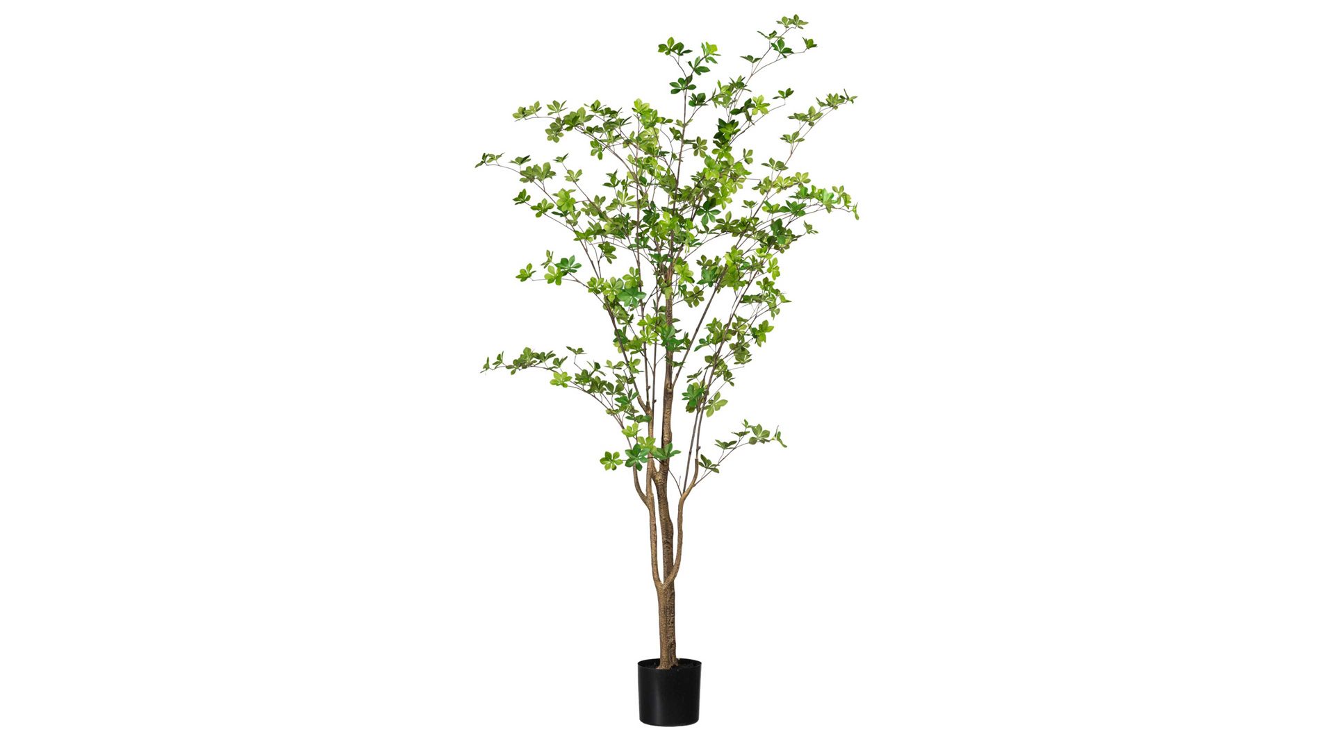 Pflanze Gasper aus Kunststoff in Grün Louisiana-Baum grüner Kunststoff & schwarzer Topf – Höhe ca. 180 cm
