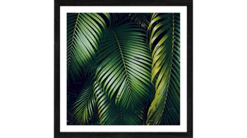 Kunstdruck Pro®art bilderpalette aus Karton / Papier / Pappe in Dunkelgrün PRO®ART Kunstdruck Jungle Leaves I fünfteilig
