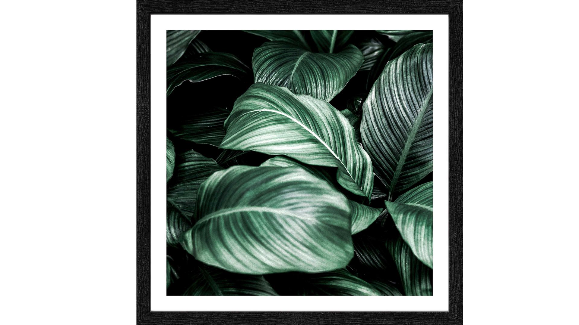 Kunstdruck Pro®art bilderpalette aus Karton / Papier / Pappe in Dunkelgrün PRO®ART Kunstdruck Jungle Leaves I fünfteilig