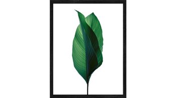 Kunstdruck Pro®art bilderpalette aus Karton / Papier / Pappe in Dunkelgrün PRO®ART Kunstdruck Jungle Leaves I fünfteilig