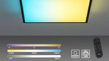 Deckenleuchte Just light. (leuchtendirekt) aus Metall in Schwarz JUST LIGHT. Lampenserie Mario Black schwarzes Metall - ca. 45 x 45 cm