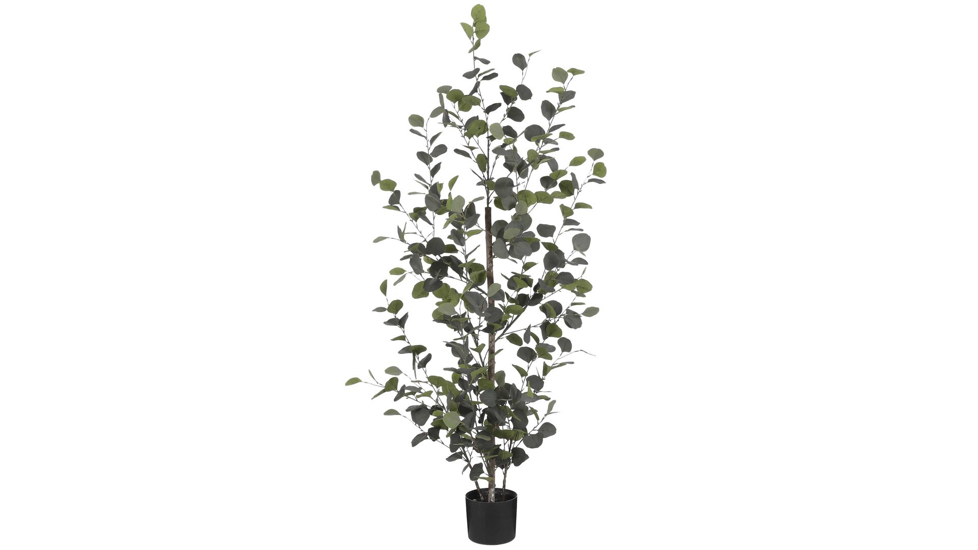 Pflanze Interliving BEST BUDDYS! aus Kunststoff in Grün Interliving BEST BUDDYS! Eukalyptusstrauch Kunststoff - Höhe ca. 150 cm