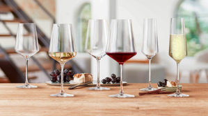 Glas-Set Leonardo | glaskoch aus Glas in Transparent LEONARDO Paladino - Kelchglas-Set TEQTON®-Kristallglas – zwölfteilig