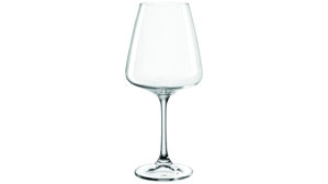 Glas-Set Leonardo | glaskoch aus Glas in Transparent LEONARDO Paladino - Kelchglas-Set TEQTON®-Kristallglas – zwölfteilig