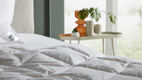 Daunendecke Interliving aus Federn + Daunen in Weiß Interliving Bettdecke Serie 9212 - Cassettendecke als Daunendecke normal, ca. 700 g Daunen & Federn - ca. 135 x 200 cm